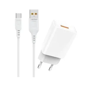 DENMEN DC01T Punjač za mobilne 2,4A + Type C kabl bela