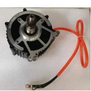 Deo za E-Bike Elektro Motor 48V 500W Bn025