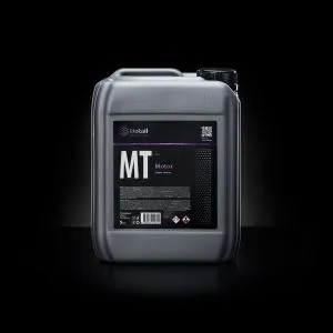 Detail Motor MT 5l