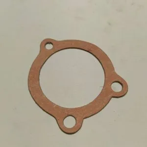 Dihtung vodene pumpe Lada