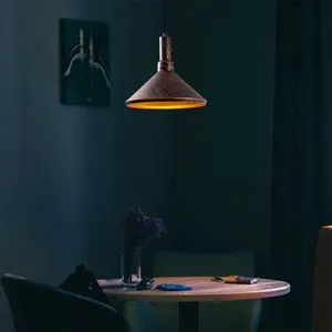 Dodo - 2381 Copper Chandelier
