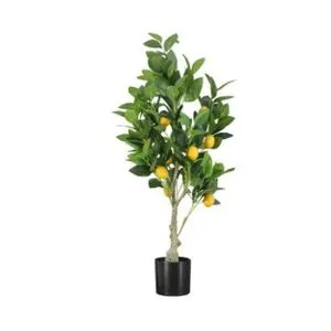 Drvo LEMON - 150cm - 025086