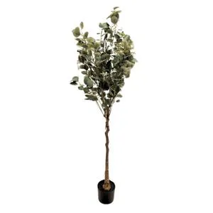 Drvo OLIVE 120cm - N61