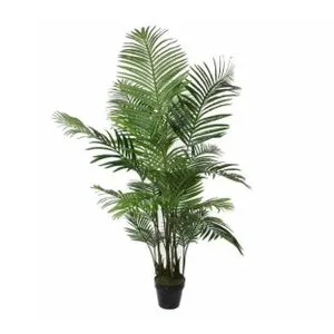 Drvo u saksiji ARECA PALM 160cm 1026427 - EDL