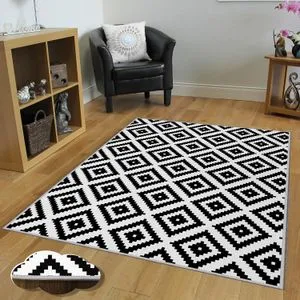 Eexfab648 Multicolor Carpet (160 x 230)