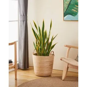 Eglo living korpa NARAHA 426513