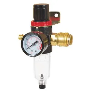 Einhell Kompresorski pribor Filter za regul. prit R 1/4"
