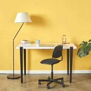 Eridanos - White Black White
Black Study Desk