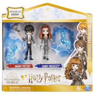 Harry Potter Hari i Džini