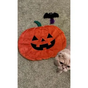 Havmi 1002 Orange Pet Bed
