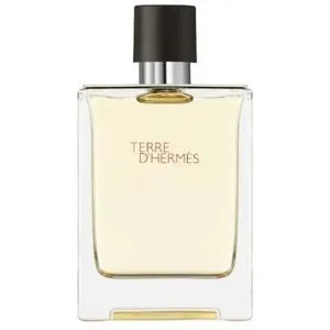 Hermès Terre d'Hermès EDT 100 ml