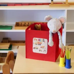 HMY - 6252 Red Felt Basket
