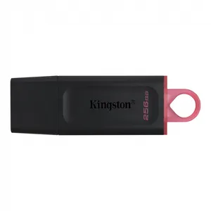 Kingston Data Traveler Exodia Onyx DTXM USB flash memorija 256GB 3.2 crna