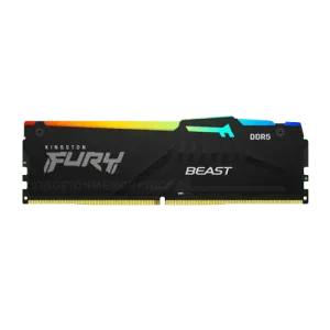 Kingston Fury Beast KF556C36BBEA-16 Memorija DDR5 16GB 5600MHz