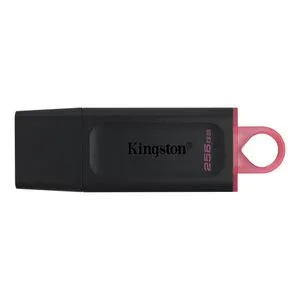 Kingston usb flash DTX/256GB