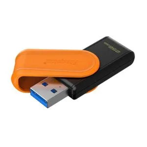 Kingston USB memorija DTXS/256GB/256GB/DataTraveler Exodia S/3.2/crno-narandžasta