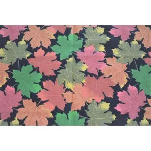 Kuhinjska krpa print Fall 45x70 3439