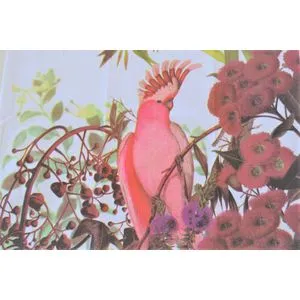 Kuhinjska krpa print Parrot1 45x70cm 3229