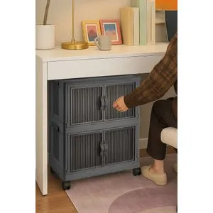 Lavine 67 - Anthracite Anthracite Multi Purpose Cabinet
