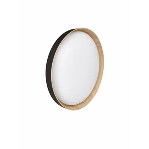 Led Plafonjera R-A19 + KONTROLER