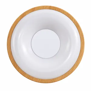 Led Plafonjera R-A47 18w