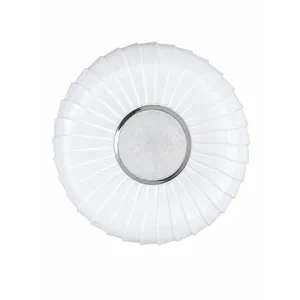 Led Plafonjera YP-39 30w