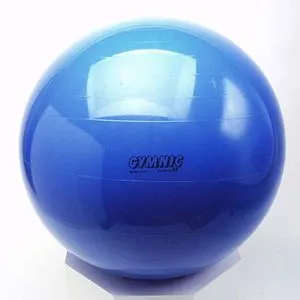 Ledraplastic Lopta Gymnic 65cm