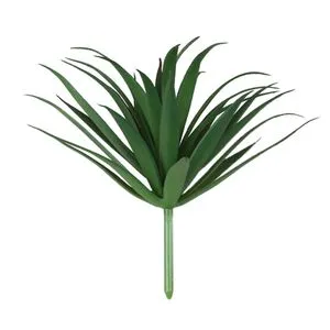 Lilium aloe vera pik 9*15cm 560169