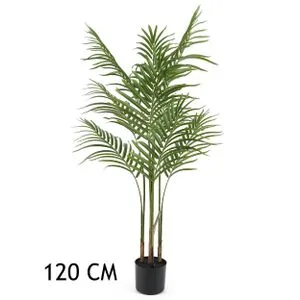 Lilium dekorativna palma Areka 120cm 567276