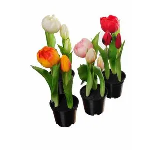 Lilium dekorativne lale natural aranžman 24cm FAY139575