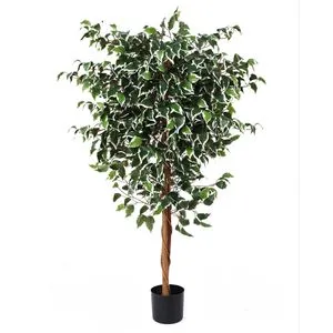 Lilium dekorativni šareni bendžamin 160cm 567289