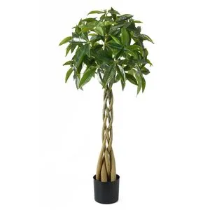Lilium dekorativno stablo šeflera 120cm 567297