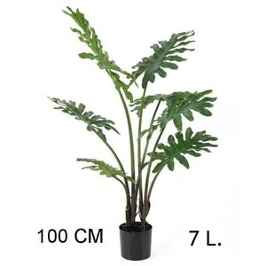 Lilium filadendron 1m, 7 listova, 567271