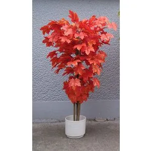 Lilium javor crveni 140cm A10388