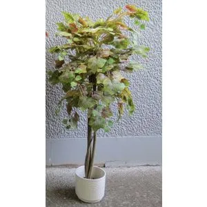 Lilium javor zeleni 140cm AA019
