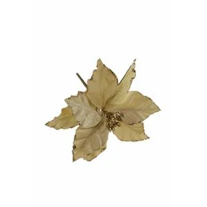 Lilium Pik poenzecija krem zlatna 25cm 312421