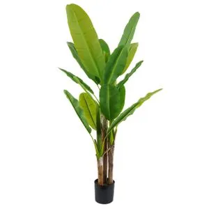 Lilium stablo banana 1x3 170cm  567293