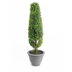 Lilium Stablo bonsai 19*60cm 567321