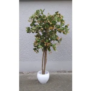 Lilium stablo kesten zeleno-oranz 130 cm