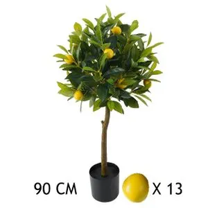 Lilium Stablo limuna 90cm, 567294