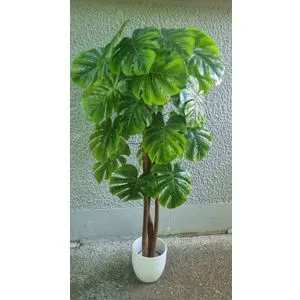Lilium stablo monstera 155 cm GF141004