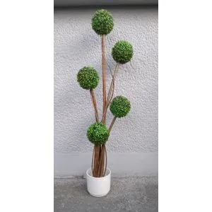 Lilium stablo sa 5 šimšir lopti 160 cm 875716