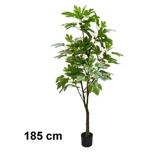 Lilium stablo smokve 185 cm 567313