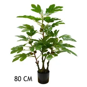 Lilium Stablo smokve 80cm, 567313