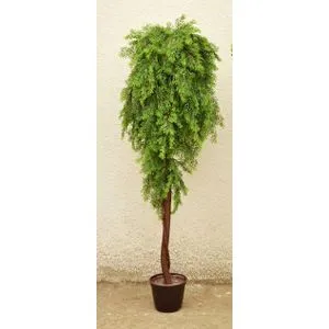 Lilium stablo tuje 125 cm WNT116842