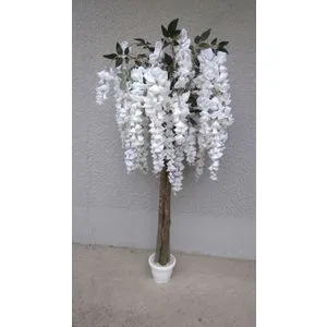 Lilium stablo visterije 145 cm 665053