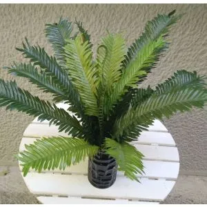 Lilum buket cikas palme, precnik 53cm
