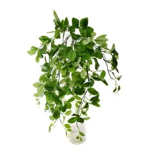 Lilum veštačka lozica epipernum aureum. 65cm DHE100902