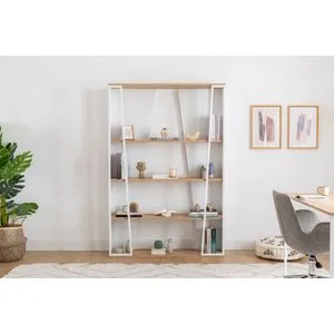 Lissa Polica - Bela Sefir