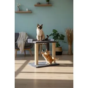 Liza - Antracitna Mačja Postelja
